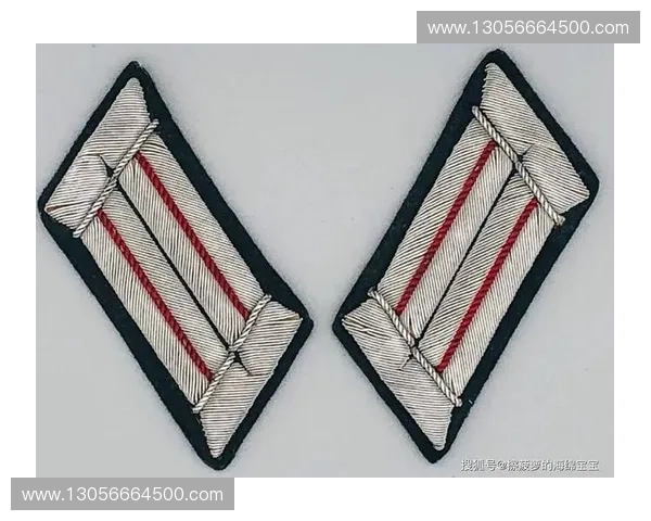 《掌握女警上分技巧,从精准射击到合理站位全方位解析》